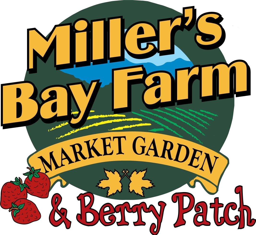 Miller's Bay Farm Market Garden & Berry Patch 
